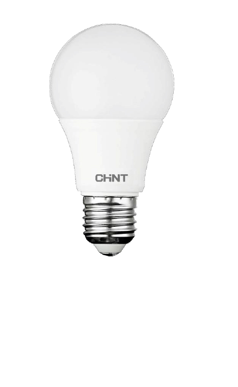 Ampoule LED Bulb E27 11W Blanc Froid 220V
