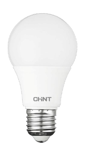 Ampoule LED Bulb E27 9W Blanc Froid 220V