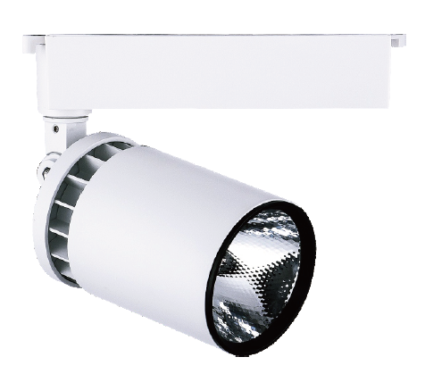 Spot LED Rail 30W Blanc Froid 220V